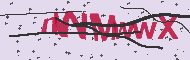 Captcha認証コード