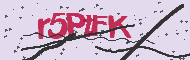 Captcha認証コード