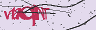 Captcha認証コード
