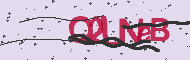 Captcha認証コード